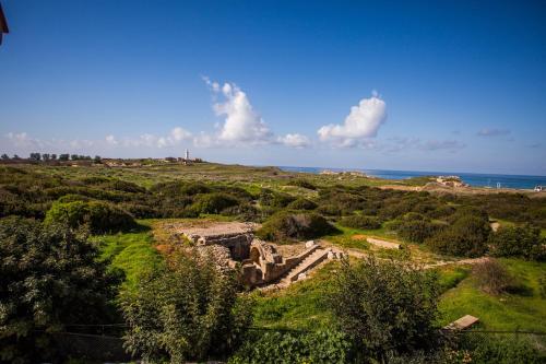 Ariadne Maisonettes