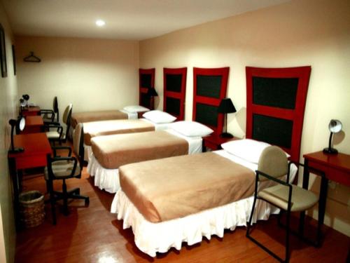 Spaces Hotel Makati People & Pets