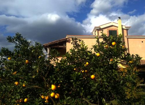 Agriturismo Su Canonigu
