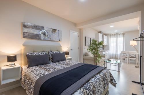 Apartamentos Centro Recogidas, Granada