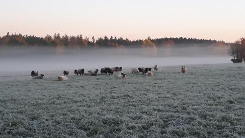 Kullens Bed and Breakfast