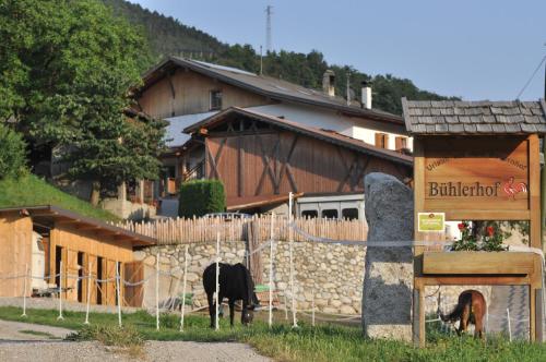 Obst & Weingut Bühlerhof