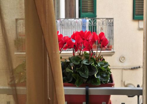 Donna Eleonora