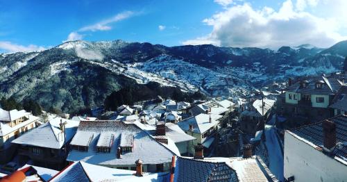 Hotel Asteri Metsovo