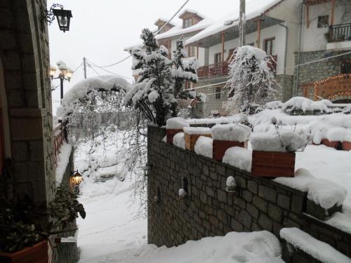 Hotel Asteri Metsovo