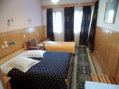 Hotel Asteri Metsovo