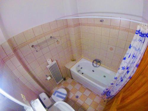 Hotel Asteri Metsovo