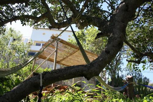 Hostel On The Hill