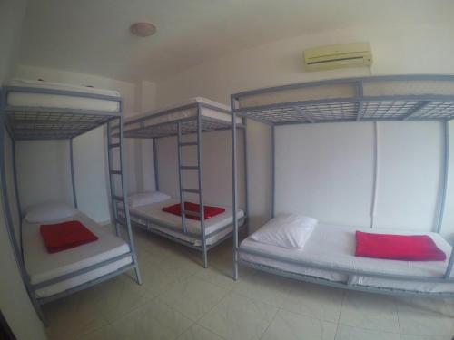 Hostel Dalmatia