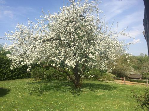 Le Jardin Des Sources