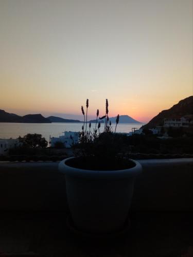 Panorama Hotel