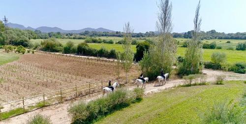 Finca Son Menut