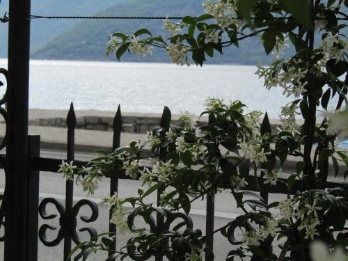 Apartments Risan