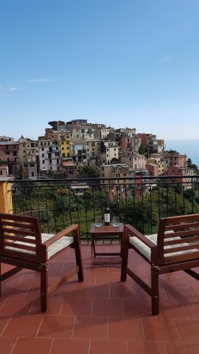 Cecio Camere