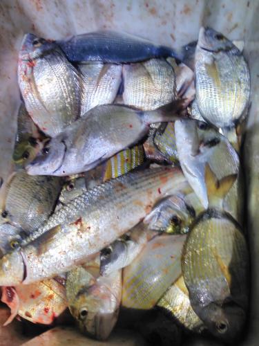 B&B Dal Pescatore