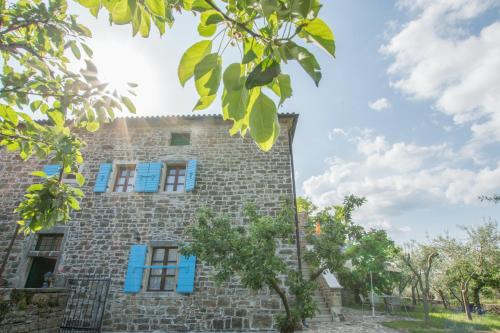 Villa San Vito - Tilia, Olea, Rosmarinus