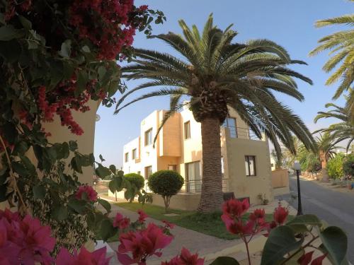 Dimma Seaside Houses