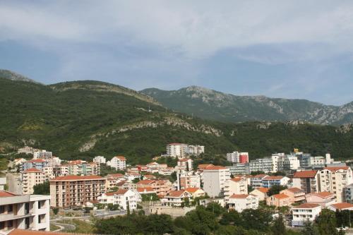 Apartments Becic