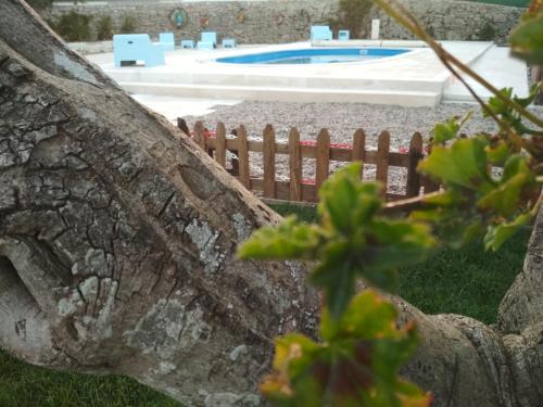 O Patio Do Judeu