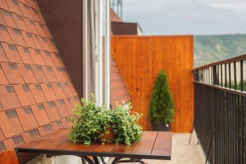 Timber Boutique Hotel