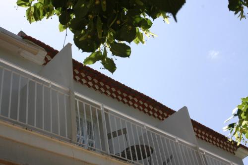 1er Consul
