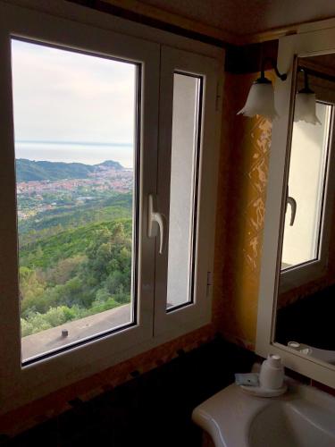 B&B Chincamea