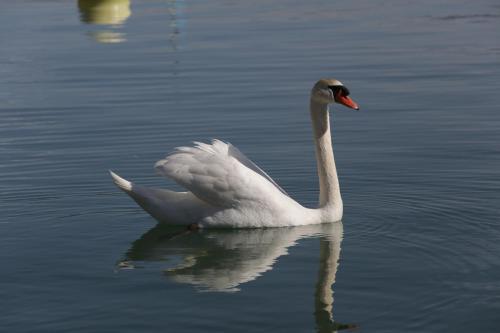 Rien van den Broeke Village