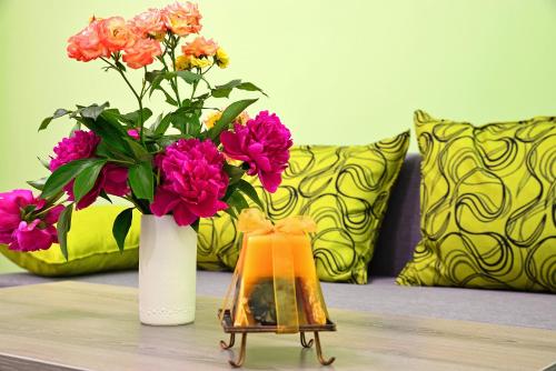 Visito Apart House