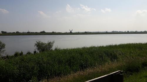 Theetuin Onder De Pannen
