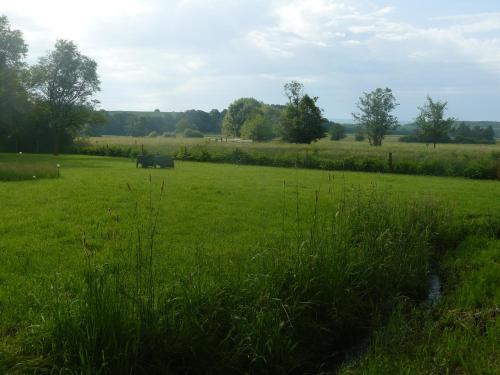 La Fleur Et Le Soleil F&S