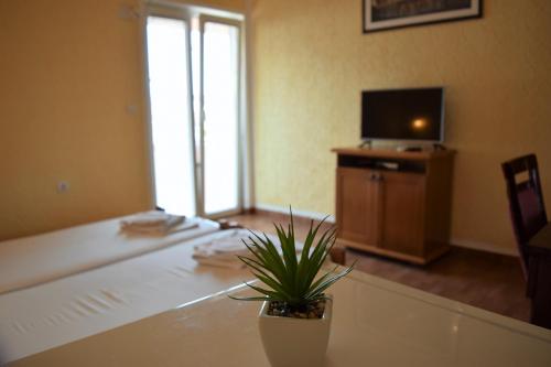 Martinovic Rooms
