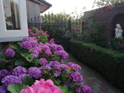 La Rose