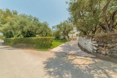 Zante Ruassi Studios