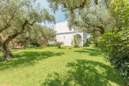 Zante Ruassi Studios