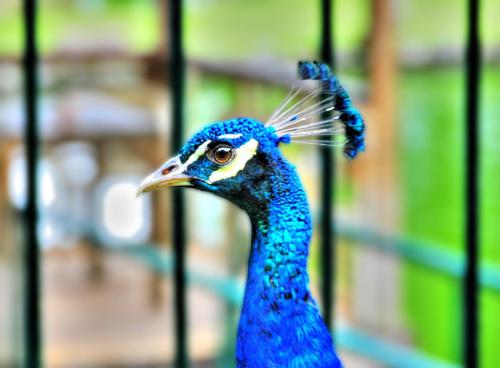 Eden Nature Park and Resort