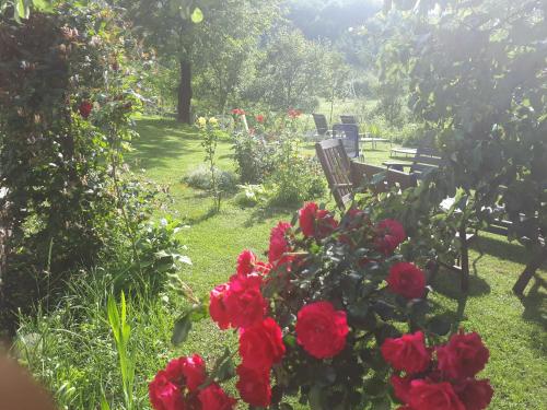 Guest House Family Varda