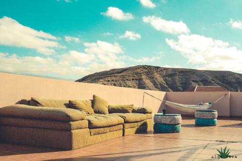 Aloe Vera Shared House