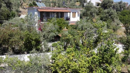 Stelios Studios