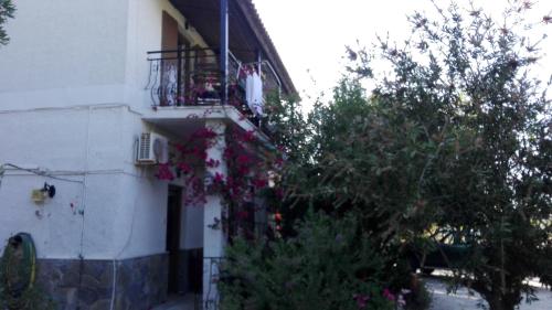 Stelios Studios
