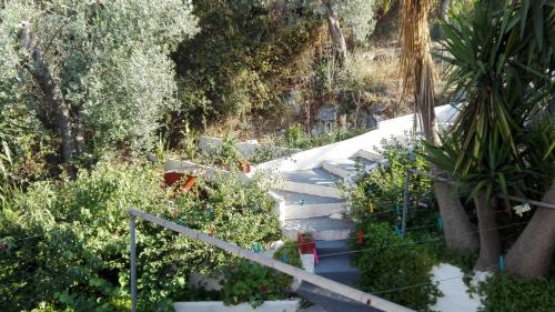 Stelios Studios