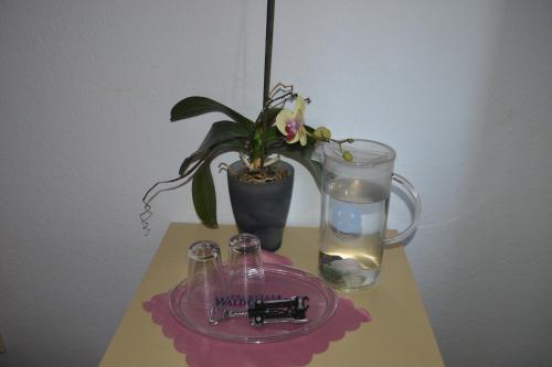 Pension Mahret´s Puppenstube