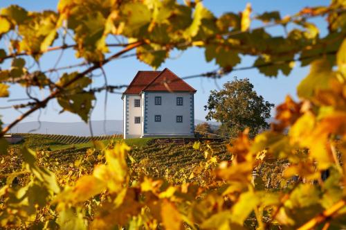 Wine Grower's Mansion Zlati Gric