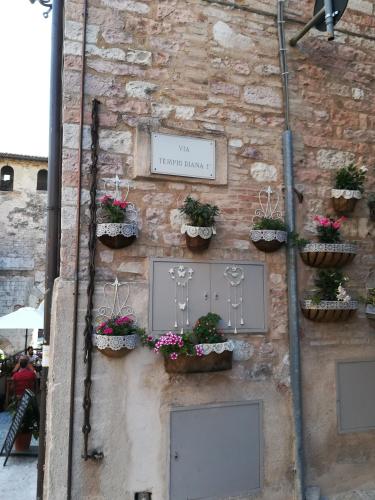 Residenza Frenguelli