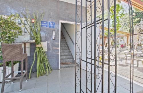 Apartments Punta By Sea