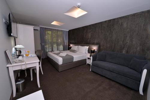 Hotel Alexandar II