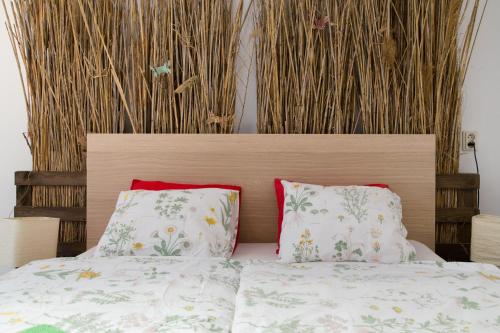 Rastlinky Sk Greenhouse Guestrooms