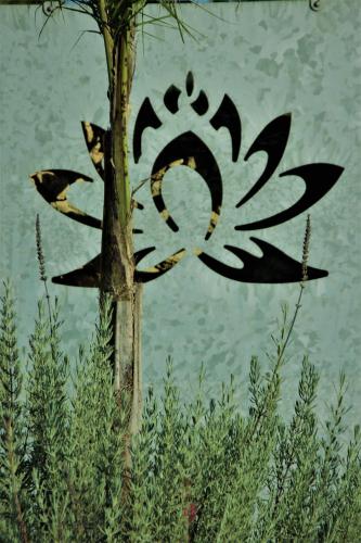 Il Giardino D'Oriente