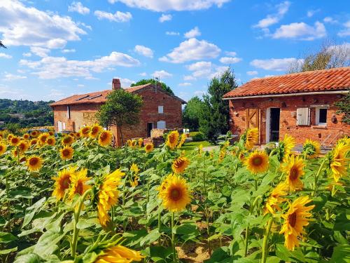 Les Hauts De Sames