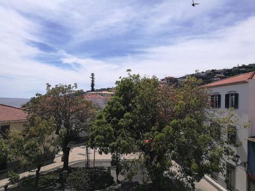 Albergaria O Professor