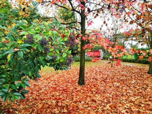 Bed & Breakfast Acquamarina